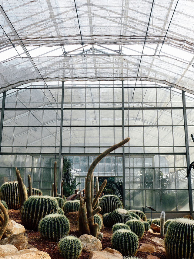 Mae Rim Queen SiriKit Botanic Garden Escape 🌵