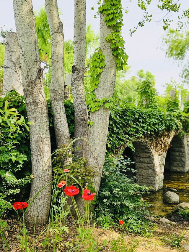 A Delightful and Educational Journey Through World Cup Park
