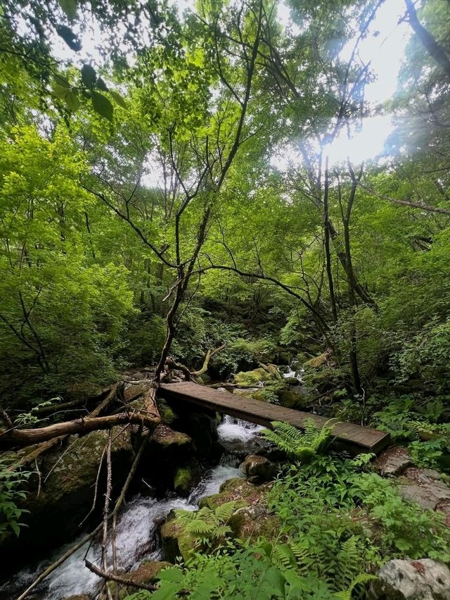 Nature’s Way of Roasting Your Legs
