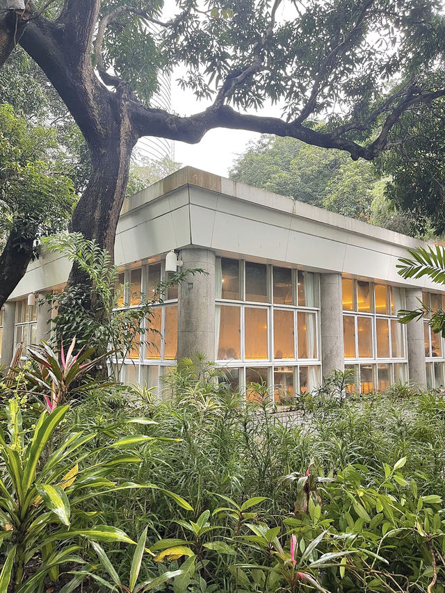 🇭🇰香港公園玻璃屋春日打卡下午茶🌸