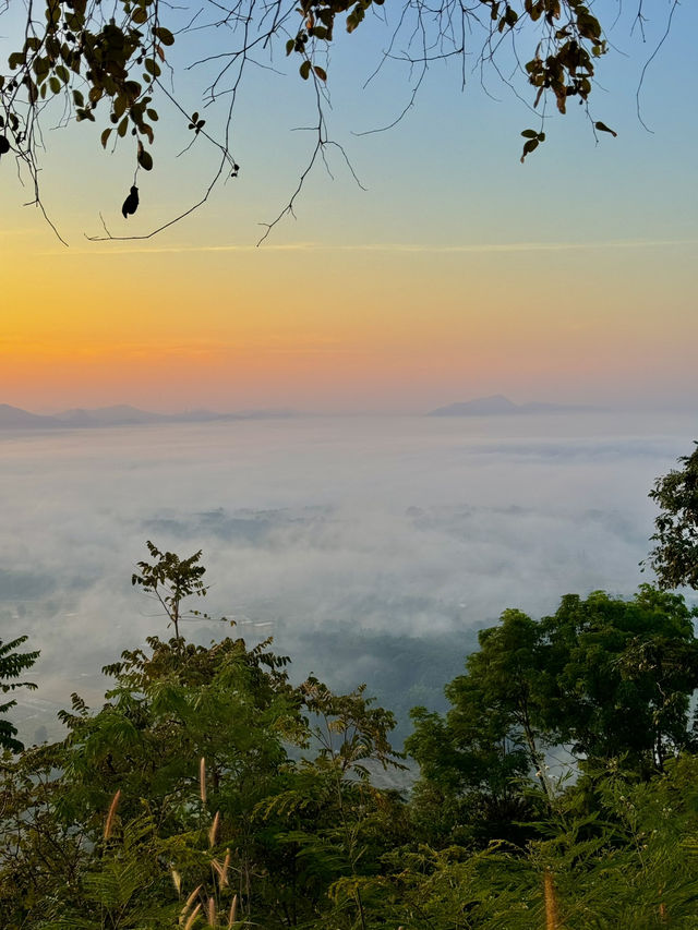 ภูทอก ทะเลหมอกเชียงคาน🌅🍃