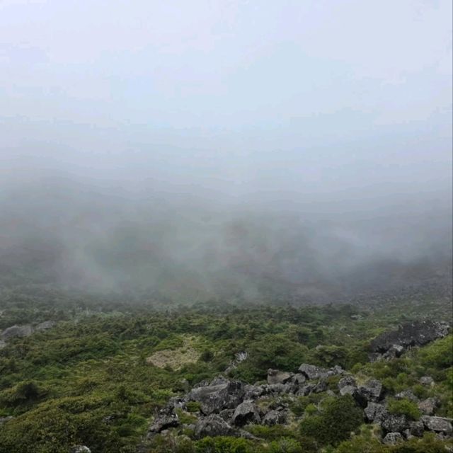 1950m of Sweat, Clouds, and Total Wow