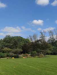 Century Park on a Budget: My Day Outdoors in Shanghai