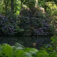 Tiergarten – Berlin, Germany