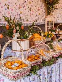 🏰🍲  Krakow on a Budget: Royal Vibes, Local Prices! 🍲🏰
