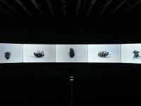 An Inspiring & Free Cultural Stop – Bund Art Center 185 Space, Shanghai