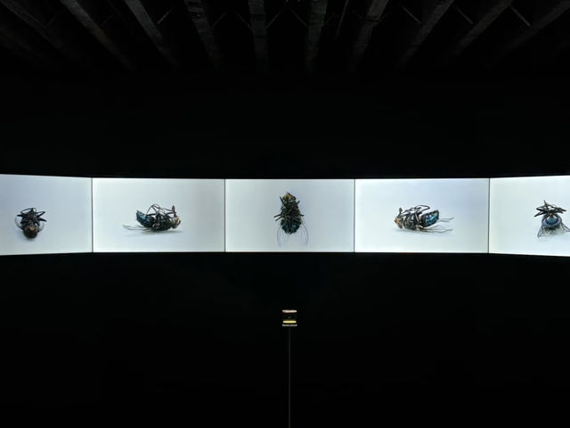An Inspiring & Free Cultural Stop – Bund Art Center 185 Space, Shanghai
