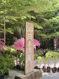 บ้องคาเฟ่ อุทัยธานี