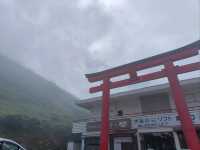 Self drive to experience Edo period traditions and sights to modern city