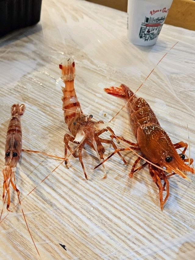 울릉도 천금수산 독도새우 미식 경험