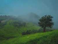 🌧️⛺️ ไร่ฝนเทียม – กางเต็นท์หน้าฝน