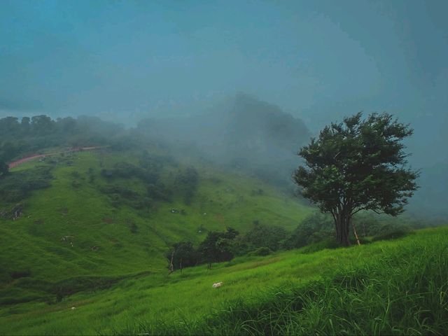 🌧️⛺️ ไร่ฝนเทียม – กางเต็นท์หน้าฝน