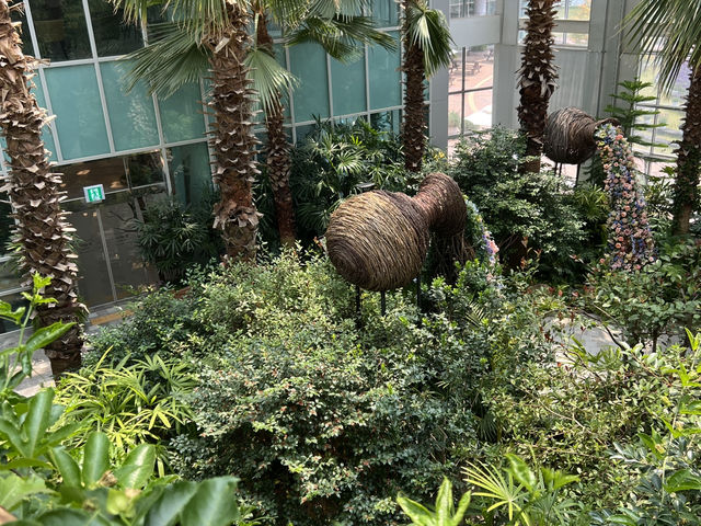 韓国地方旅