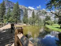 🌲 요세미티 밸리 로지 (Yosemite Valley Lodge)