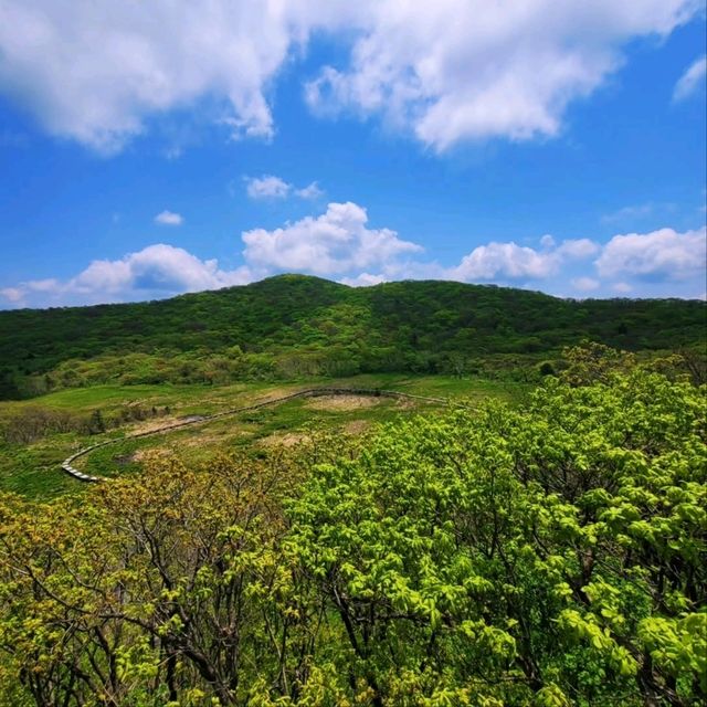 Korea's First Ramsar Wetland