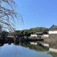 【広島/宮島🇯🇵】神秘的な風景に心揺れる⛩ 嚴島神社