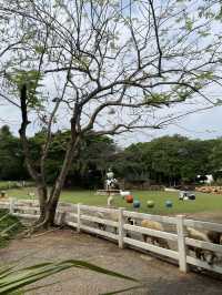 🐑 The Scenery Vintage Farm 