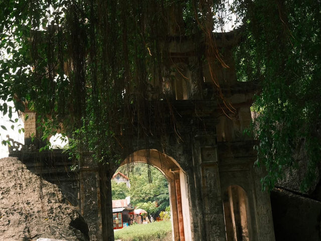 Tam Coc - Golden fields and timeless beauty 🌾