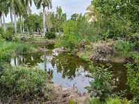 Laid Back Day At Crandon Park