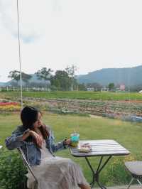 ✨Blossom Bloom Bliss – A Fairytale Café in Khao Yai