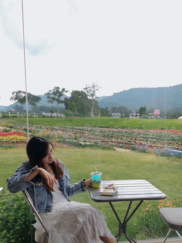 ✨Blossom Bloom Bliss – A Fairytale Café in Khao Yai