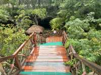 【グラン・セノーテ（Gran Cenote）｜神秘の光と水に包まれる夢のような洞窟泉】