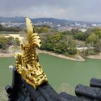 🏯 Okayama Castle – A Peaceful Climb to a Panoramic View