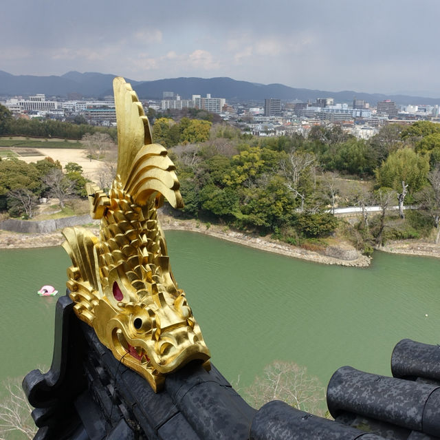 🏯 Okayama Castle – A Peaceful Climb to a Panoramic View