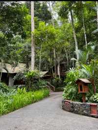 📍Title: A Hidden Jungle Escape – The Datai Langkawi 🌿✨