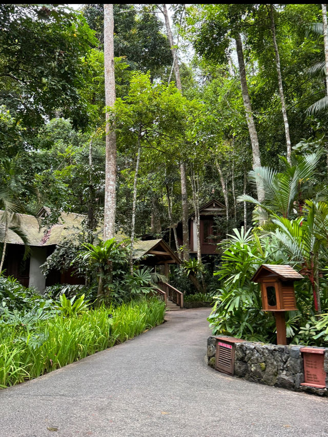 📍Title: A Hidden Jungle Escape – The Datai Langkawi 🌿✨