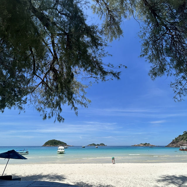 🤿 Getaway in Redang🏝️