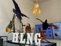 ABCDEFGHLNG CAFE