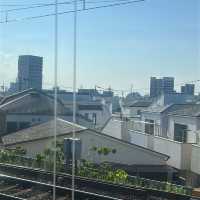 5日4夜東京之旅