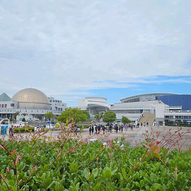 เดินเล่นในนาโกย่า , Nagoya