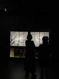 ไปดูศิลปะที่คู่กับปลาที่ ART AQUARIUM MUSEUM !
