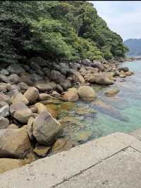 【海に続く神秘の鳥居⛩️阿古師神社で“祈りの絶景”に出会う】