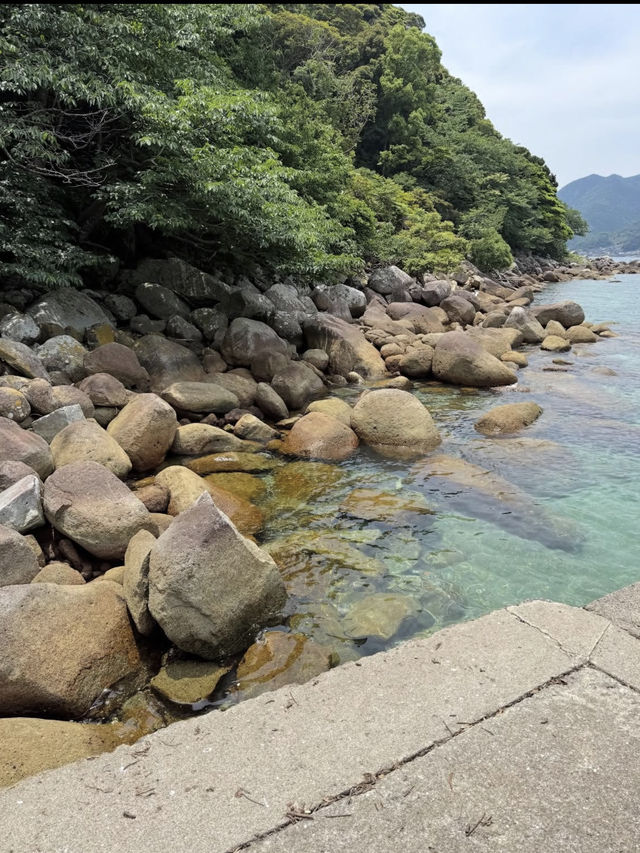 【海に続く神秘の鳥居⛩️阿古師神社で“祈りの絶景”に出会う】