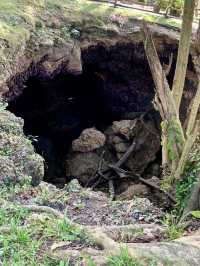 Monfort Bat Sanctuary, Samal Island