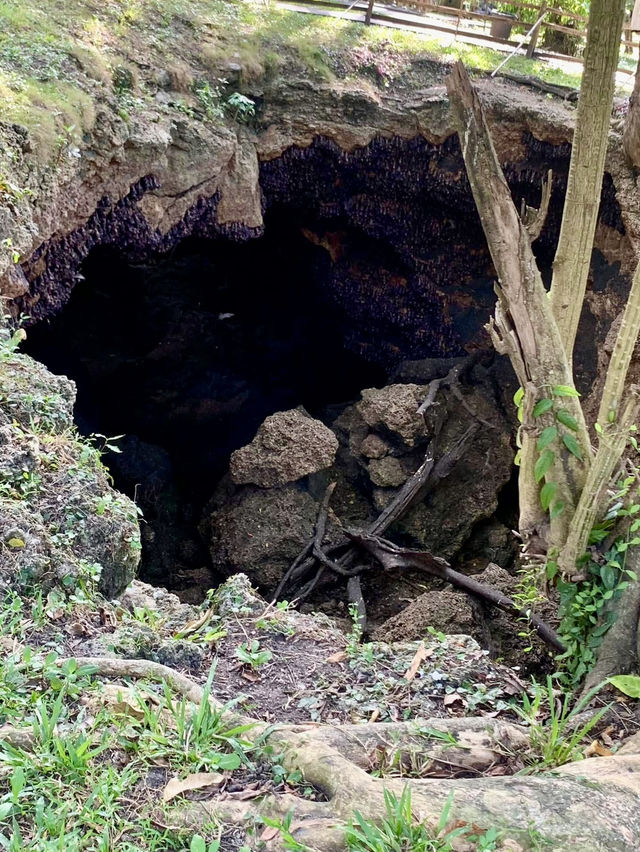 Monfort Bat Sanctuary, Samal Island