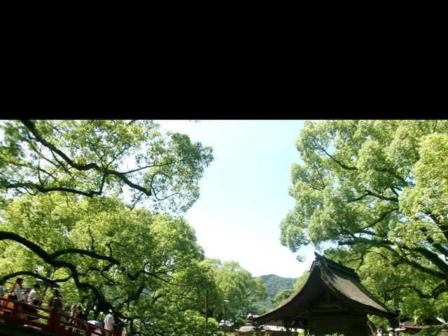 【学問の神様に願いを込めて✨】太宰府天満宮で心清らかな旅を