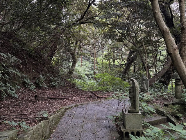 【静寂に包まれる祈りの空間🙏】鎮国寺で心を整える癒し旅