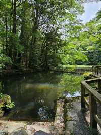 伊勢神宮內宮漫步記，馬匹、神社與清潭水🐎⛩️💧