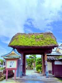 對柳川來說是生活的一部分「下河（護城河巡視）」