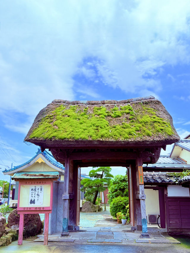 對柳川來說是生活的一部分「下河（護城河巡視）」