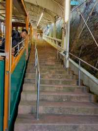 🚠乘纜車，穿越日本神戶六甲山的綠意時光