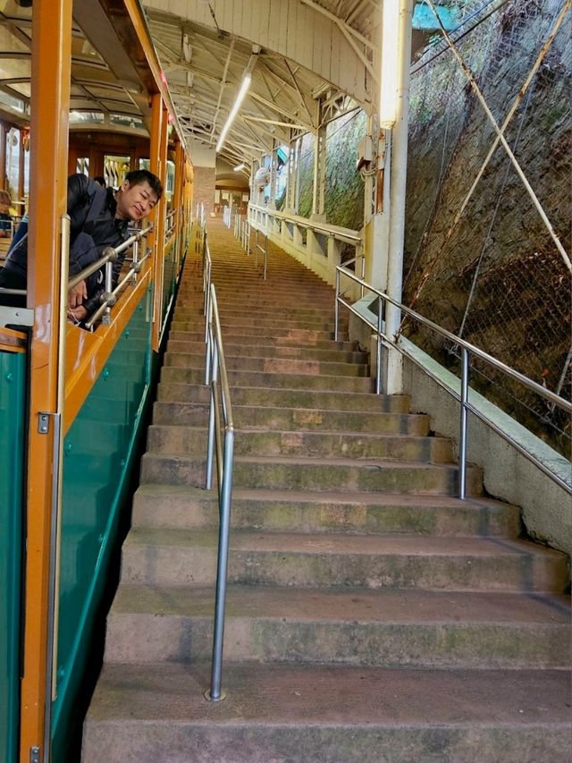 🚠乘纜車，穿越日本神戶六甲山的綠意時光