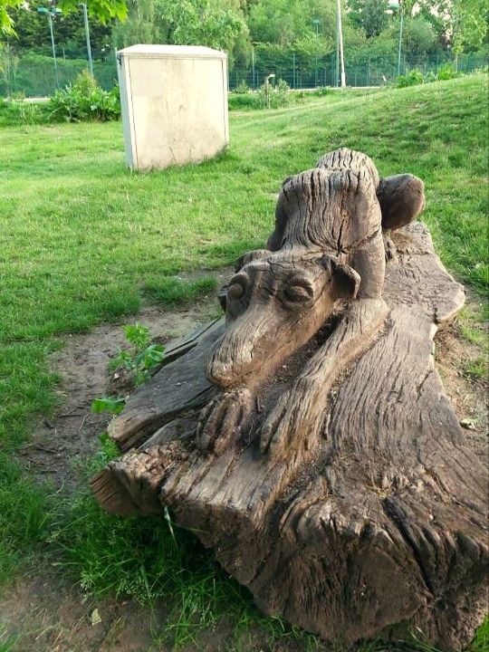 Prospect Park