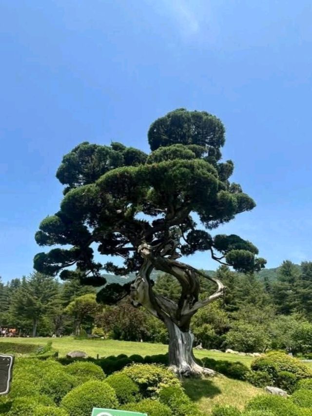 Nami Island 