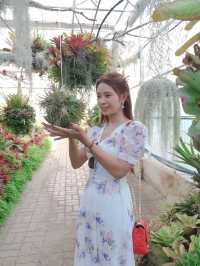 สวนพฤกษศาสตร์สมเด็จพระนางเจ้าสิริกิติ์ เชียงใหม่