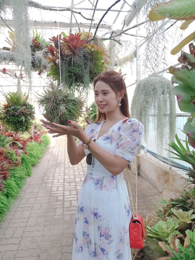 สวนพฤกษศาสตร์สมเด็จพระนางเจ้าสิริกิติ์ เชียงใหม่